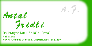 antal fridli business card